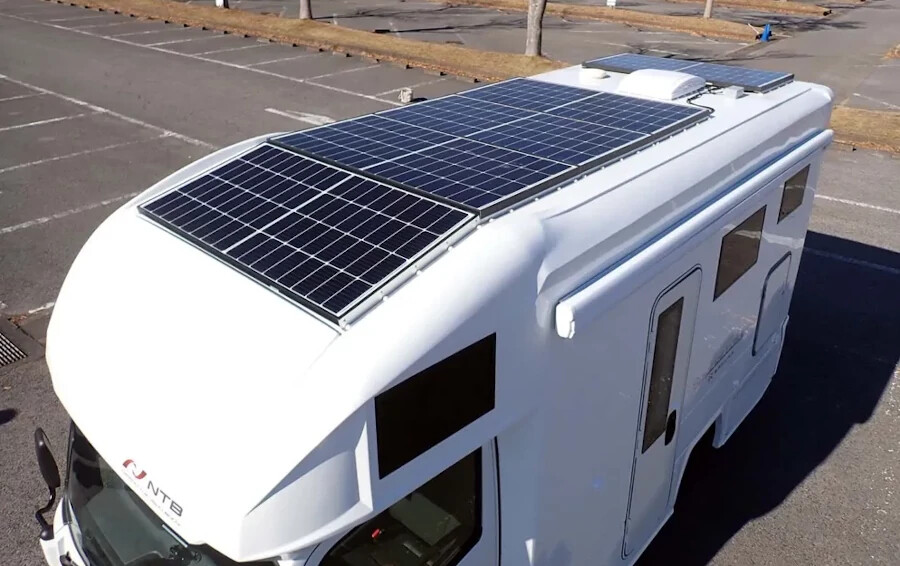 SAKURA（サクラ）Special Edition